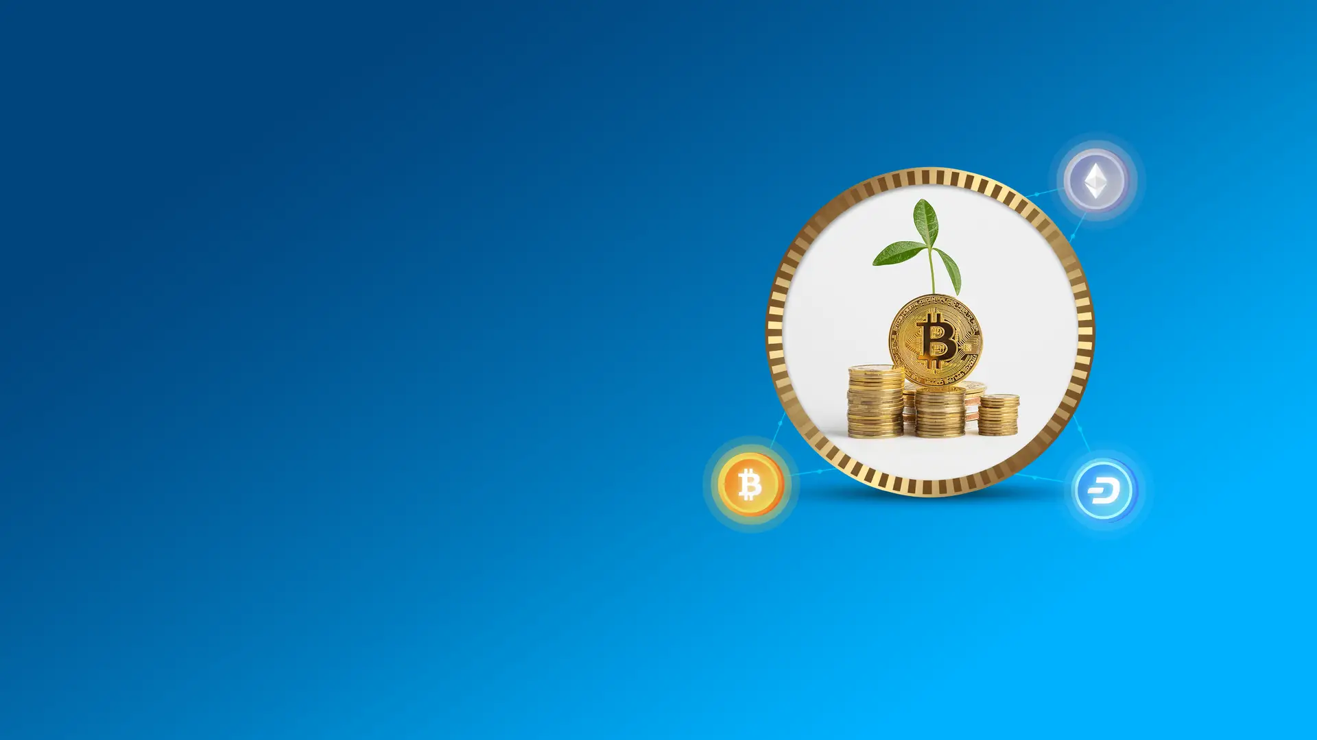 White label cryptocurrency exchange trading platform on desktop and mobile